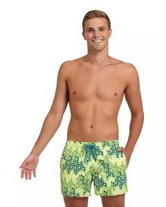 Arena Mens Beach Short - Soft Green / Multi 