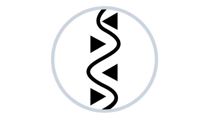 Fastskin LZR Pure Intent